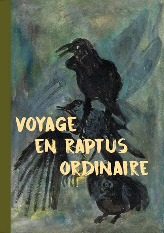 Vpoyage en raptus ordinaire, anne-marie jaumaud, editions l'an demain